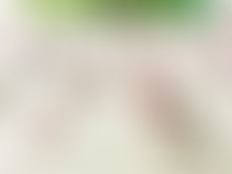 千藤 手織り真綿八寸名古屋帯 さざれドット雫