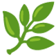 leaf.png