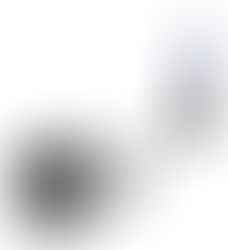 HOMELESSNESS...ex offenders