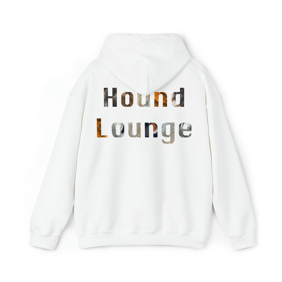 Thumbnail: SDHL All Inclusive Unisex Heavy Blend™ Hooded Sweatshirt