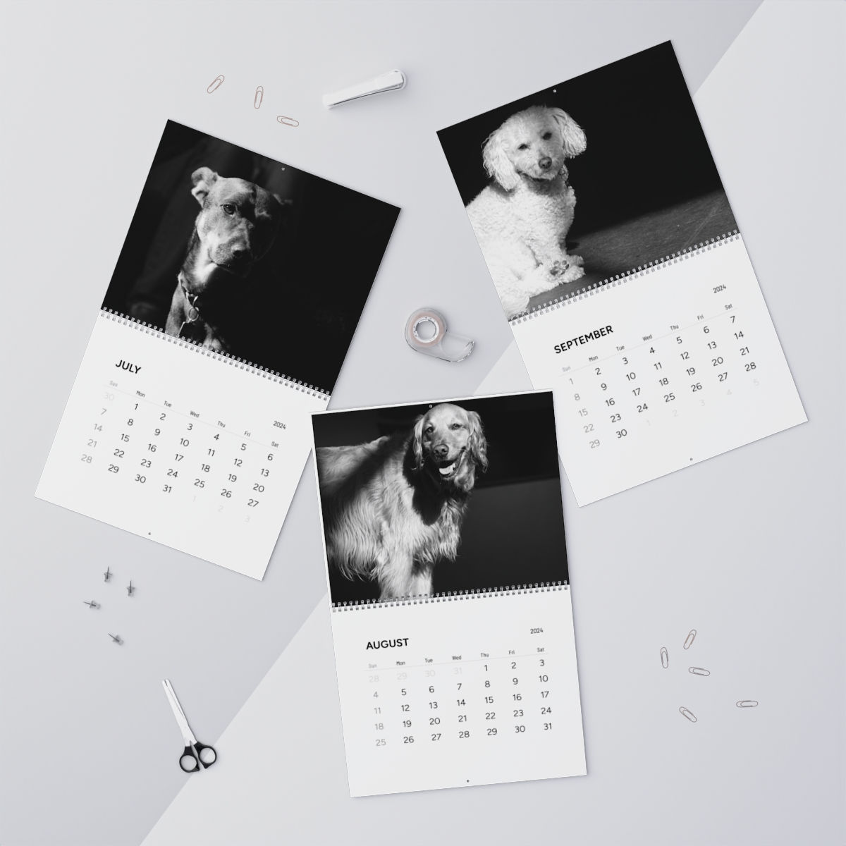 SDHL Wall Calendar (2024)