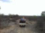Jeepscape