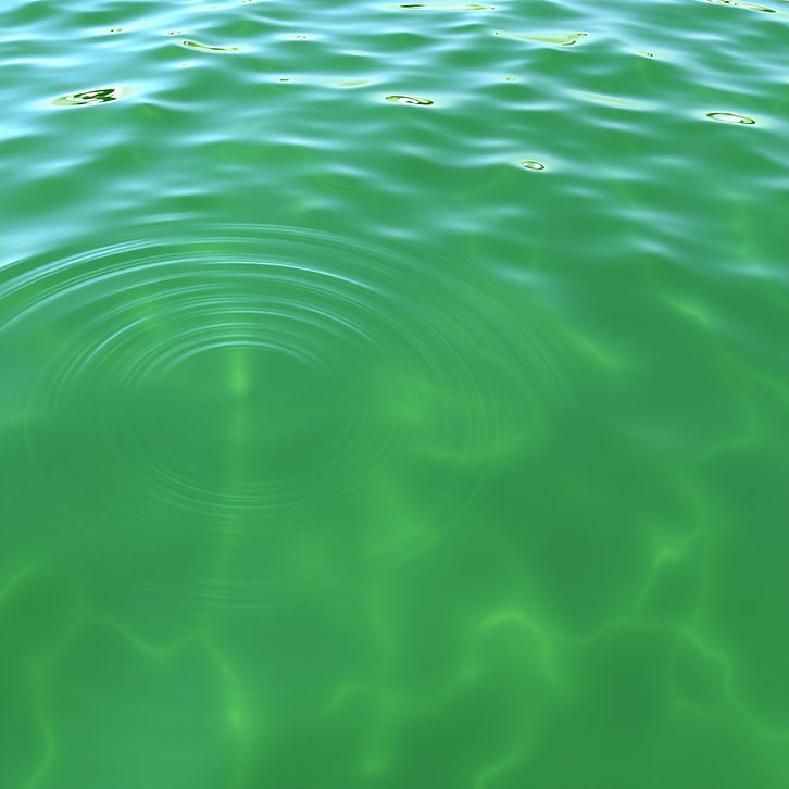 green water ripples .jpg