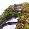Edificios-verdes-para-luchar-contra-el-c