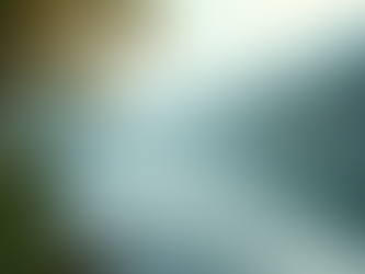 The Art of Mindful Living: Embracing the Present Moment