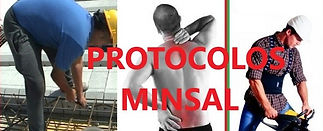 servicios elaboracion protocolos minsal, arica y parinacota