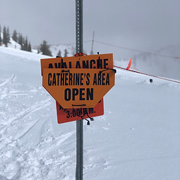 Alta_Catherine's Area