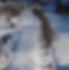 Catamount Ski