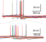 image_edited.png