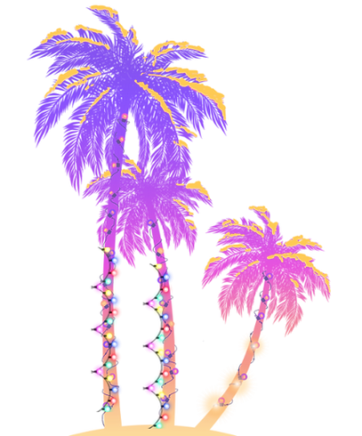 Coastal Christmas Holiday LIght Spectacular palm trees