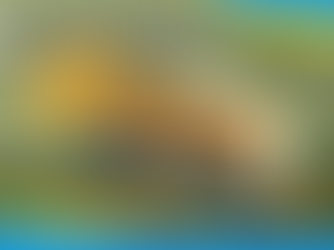 Limited-Time churro: DubaiMania Has Arrived!