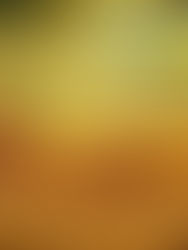 CHURROMANIA® at Miami Youth Fair 2026