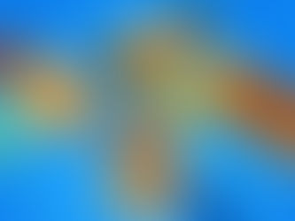 Sweet Deals, Straight to Your Door!