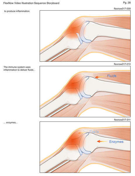 flexnow010.jpg