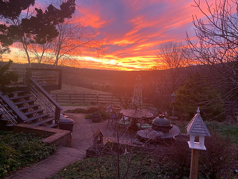 backyard view.jpg