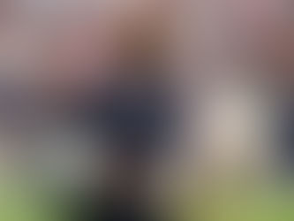 Houston Texans: Em alta e prontos para surpreender