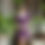 Thumbnail: Ofelia