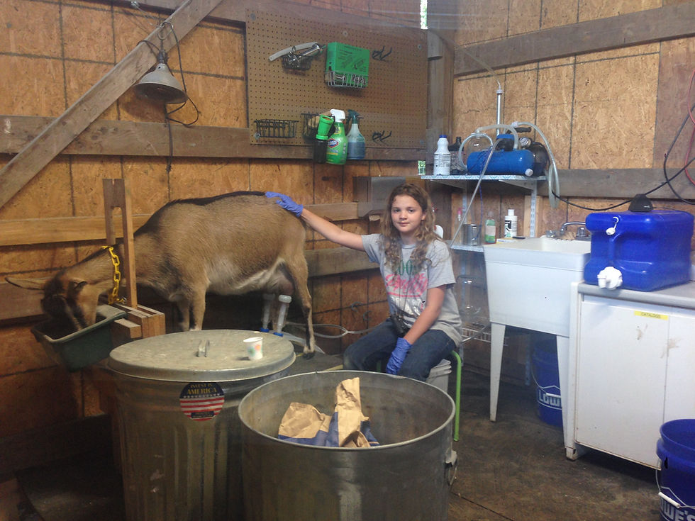 milking parlor