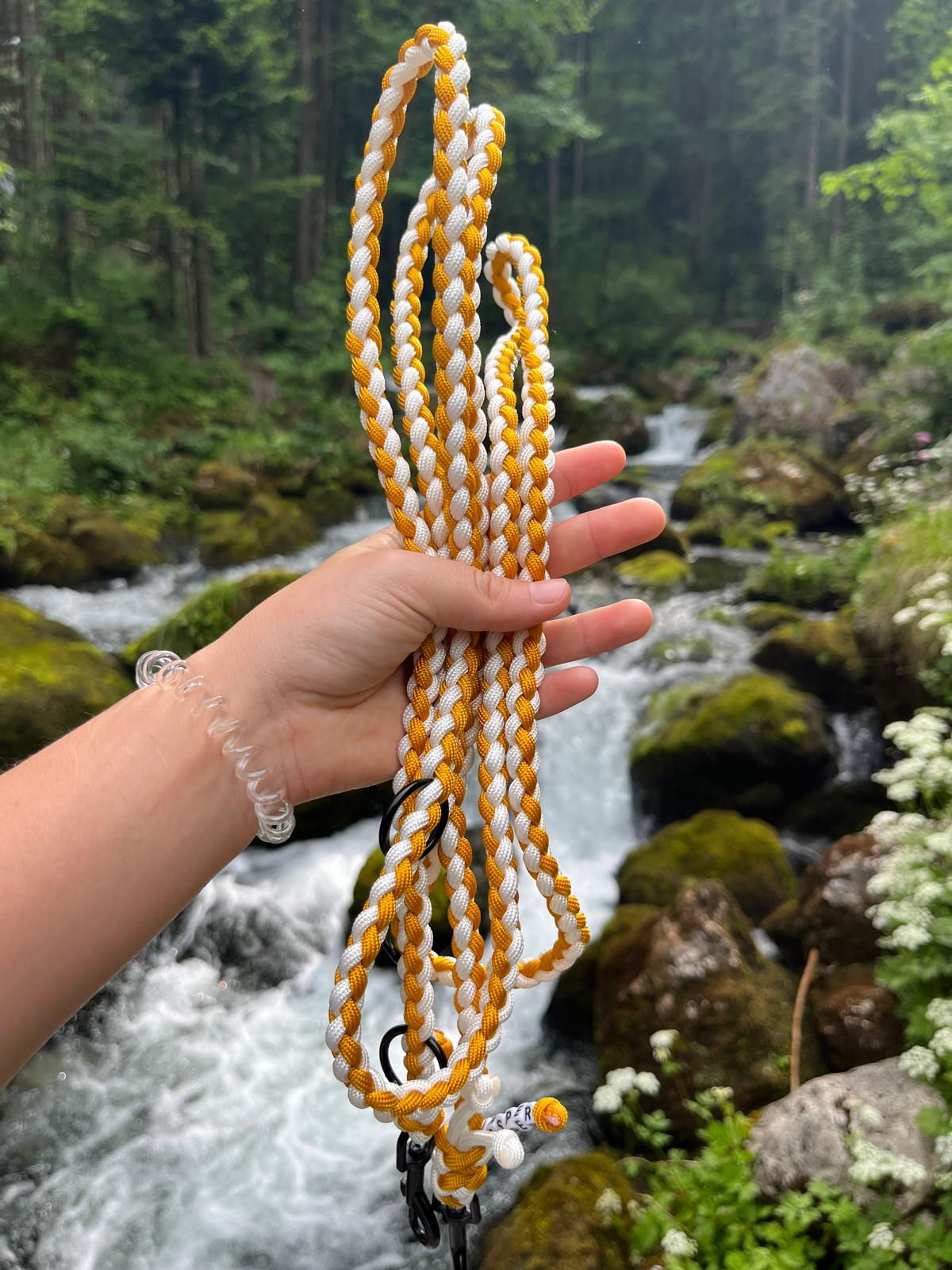 Konfigurator - für kleine Hunde