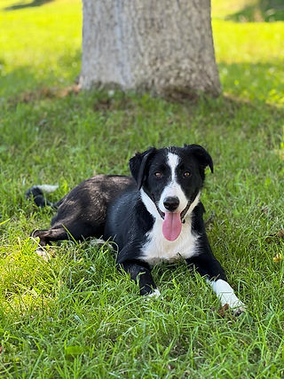 Sunny - unsere Teamleiterin