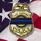badge flag Graphic.jpeg
