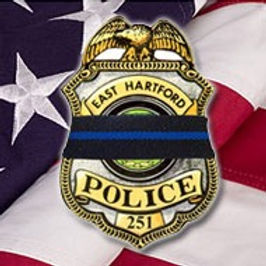badge flag Graphic.jpeg