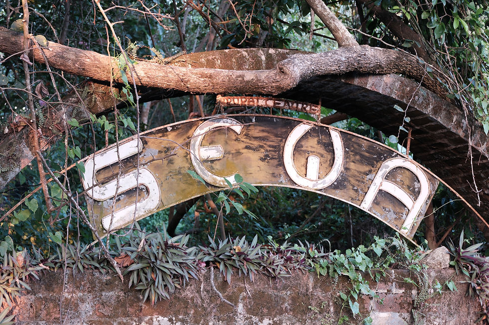 DSCF0646.JPG
