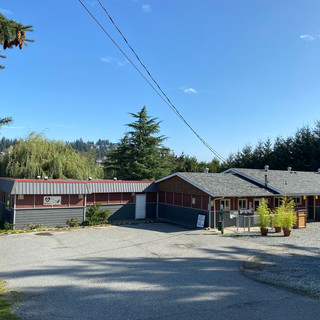 Nanaimo Pet services