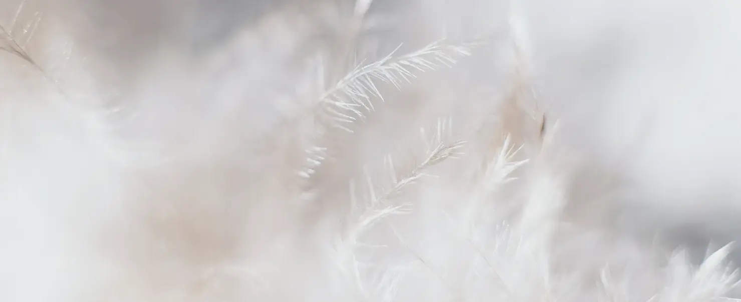 white grass.webp