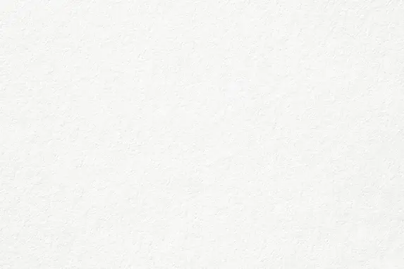 White pattern background.webp