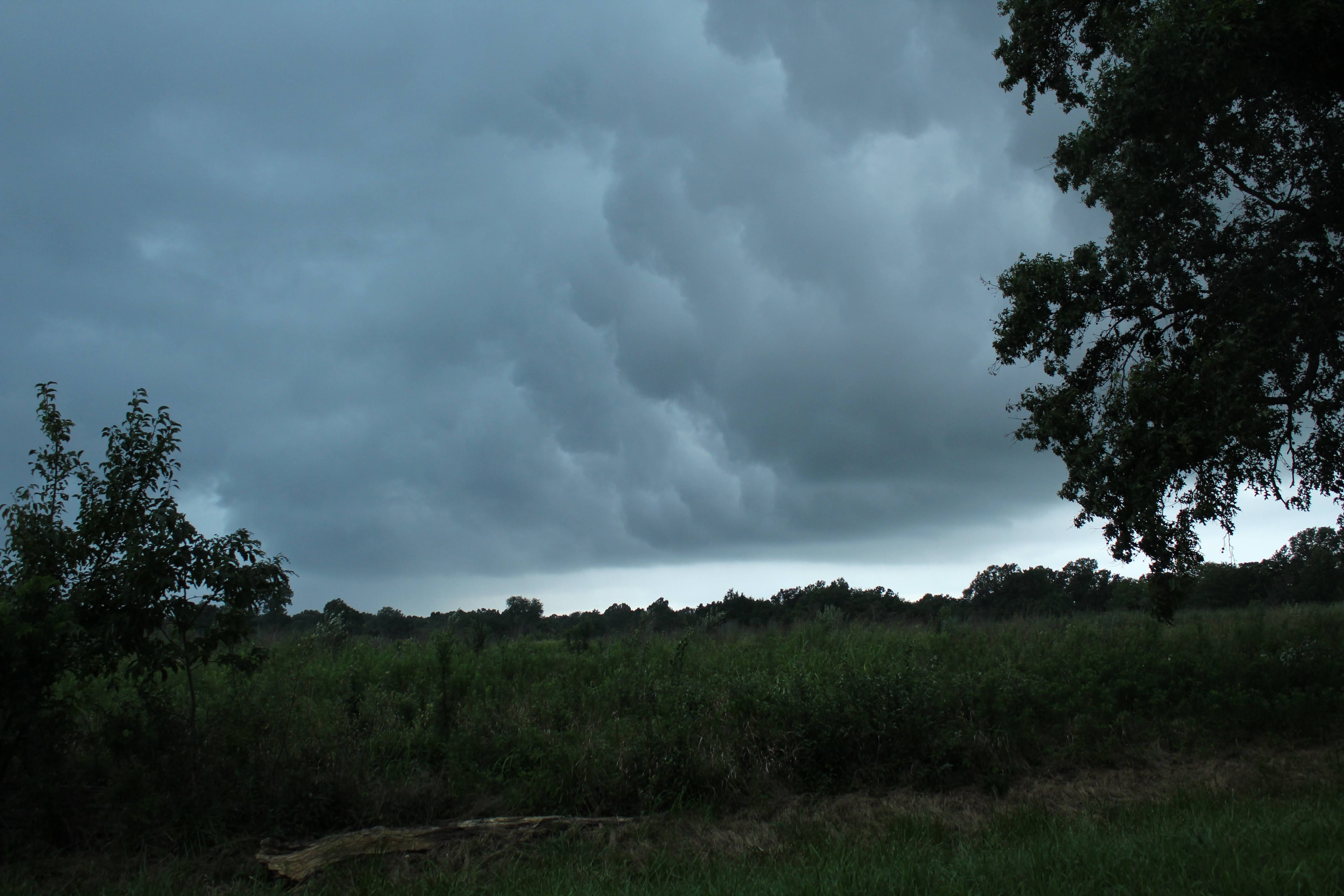 Crab Orchard Wildlife Refuge - July 31, 