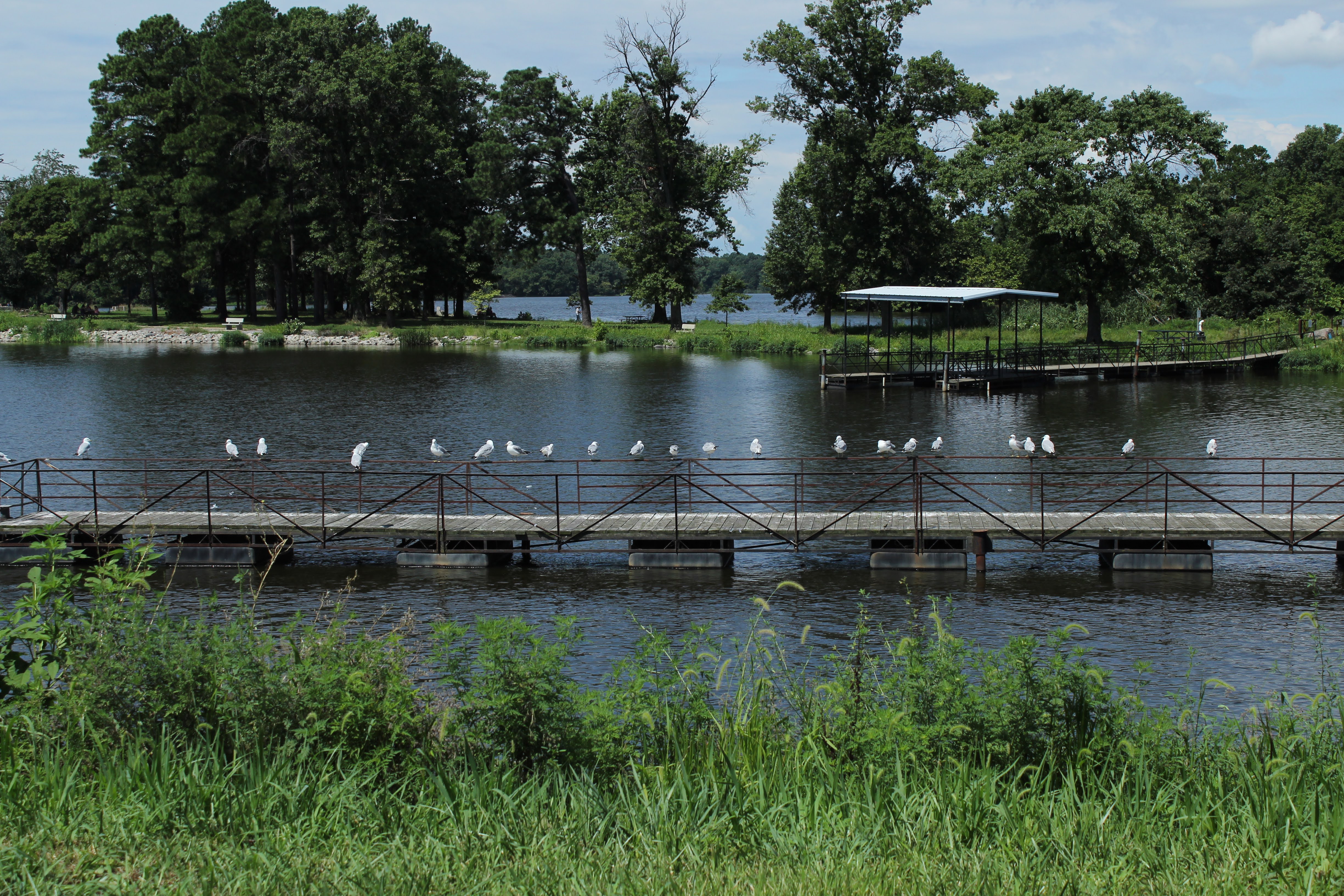 Crab Orchard Lake - August 2
