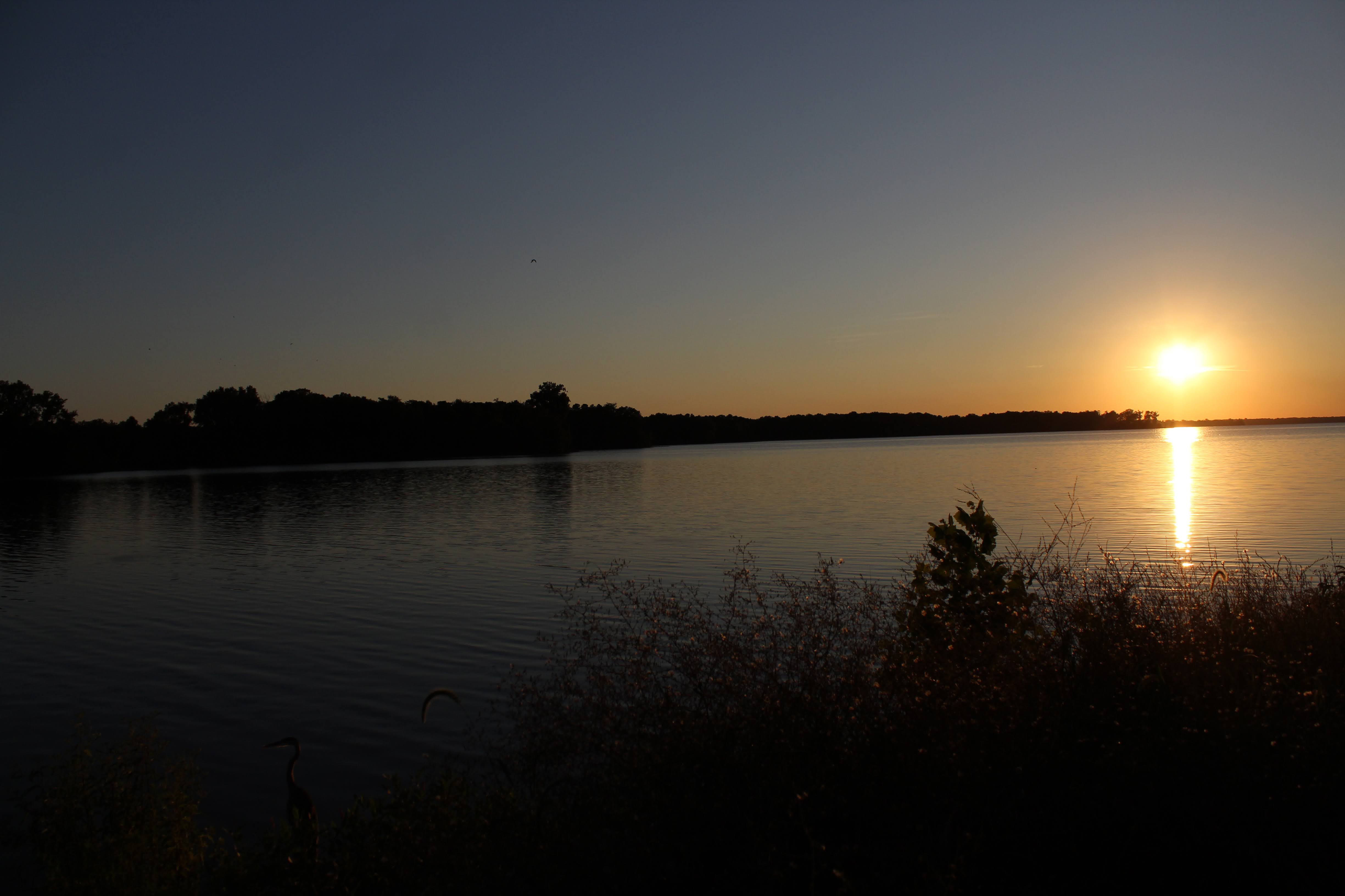 Crab Orchard Lake - August 5, 2020