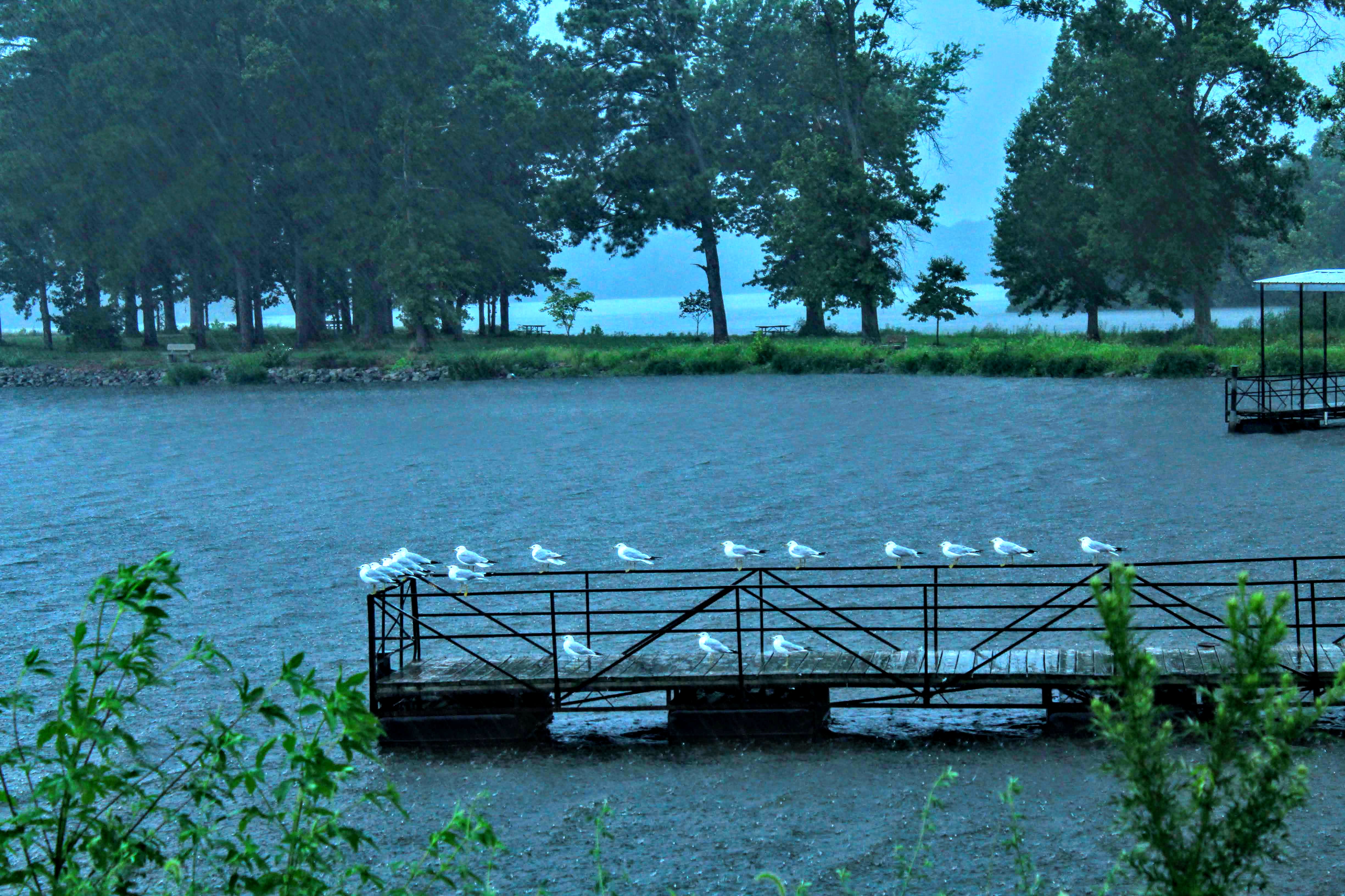Crab Orchard Lake