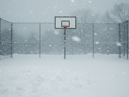 Carterville Lions vs. Pinckneyville Panthers Cancelled