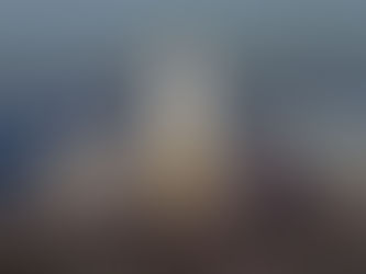 "Obviously a Major Malfunction"