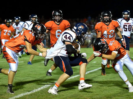 Finally...Lions & Tigers...Oh My!