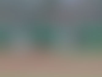 2023 Colt World Series - Southern Illinois Champions