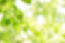 pixta_22100126_M.jpg
