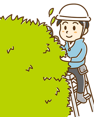 庭の剪定をする人