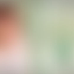 «El infinito en un junco»: la memoria viva de la palabra escrita