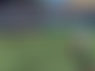 Stronger Together: Honoring Our Rare Disease Warriors at Kansas University Baseball