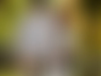 International PPP3CA Awareness Day