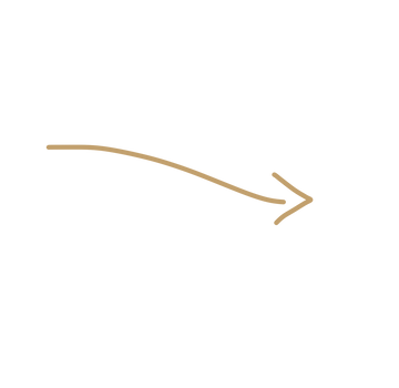 Brown arrow.png