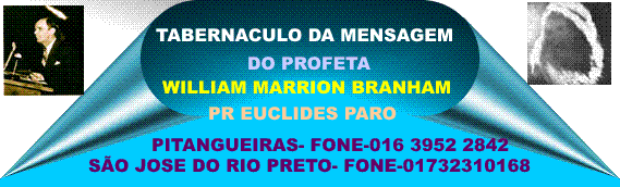 novo-1.gif