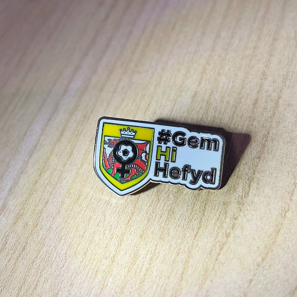 HGTCymru pin badge