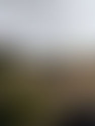 From Nappies to Net Sessions: Motherhood, Cricket and the Power of Coming Back.