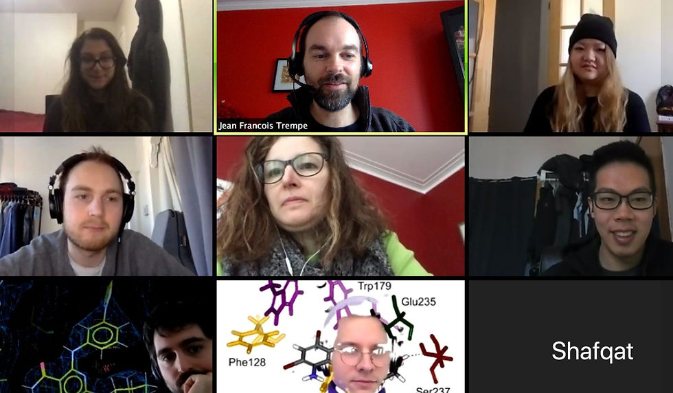 Lab meeting over zoom