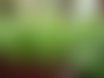 Discover Natural Remedies for Holistic Wellness