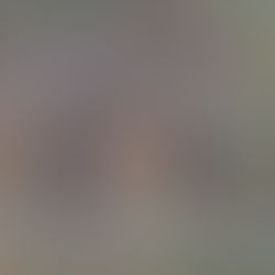 Memorizing The Peace of Wild Things